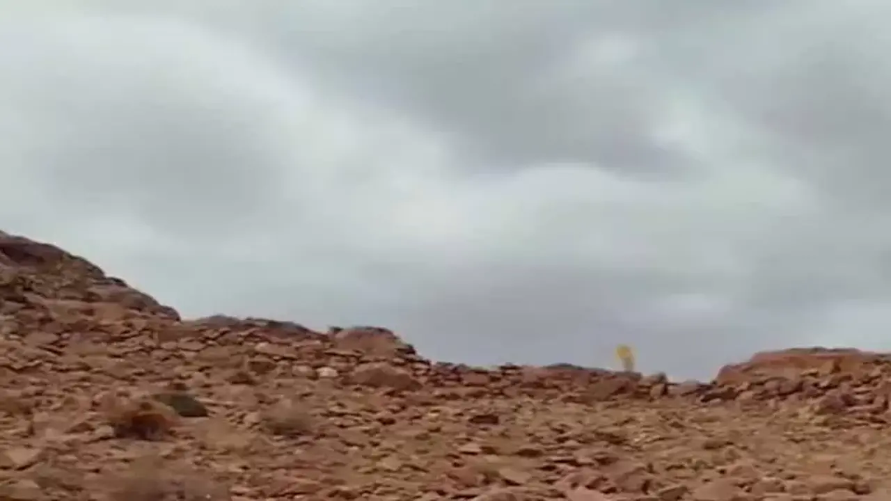 شبورة صباحية وأمطار خفيفة ورياح تسيطر على طقس الأحد في بعض المناطق